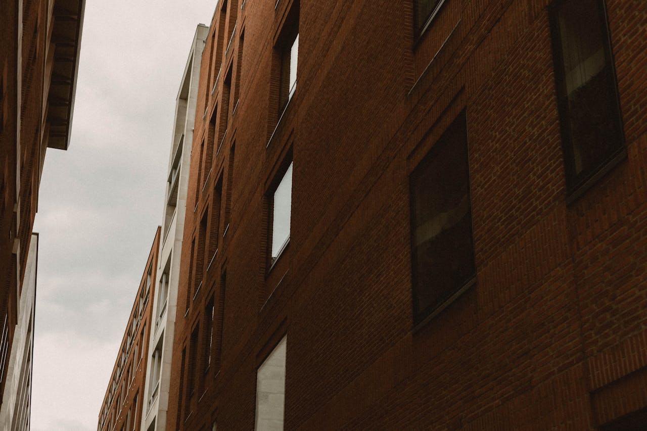 pexels-photo-29448417.jpeg